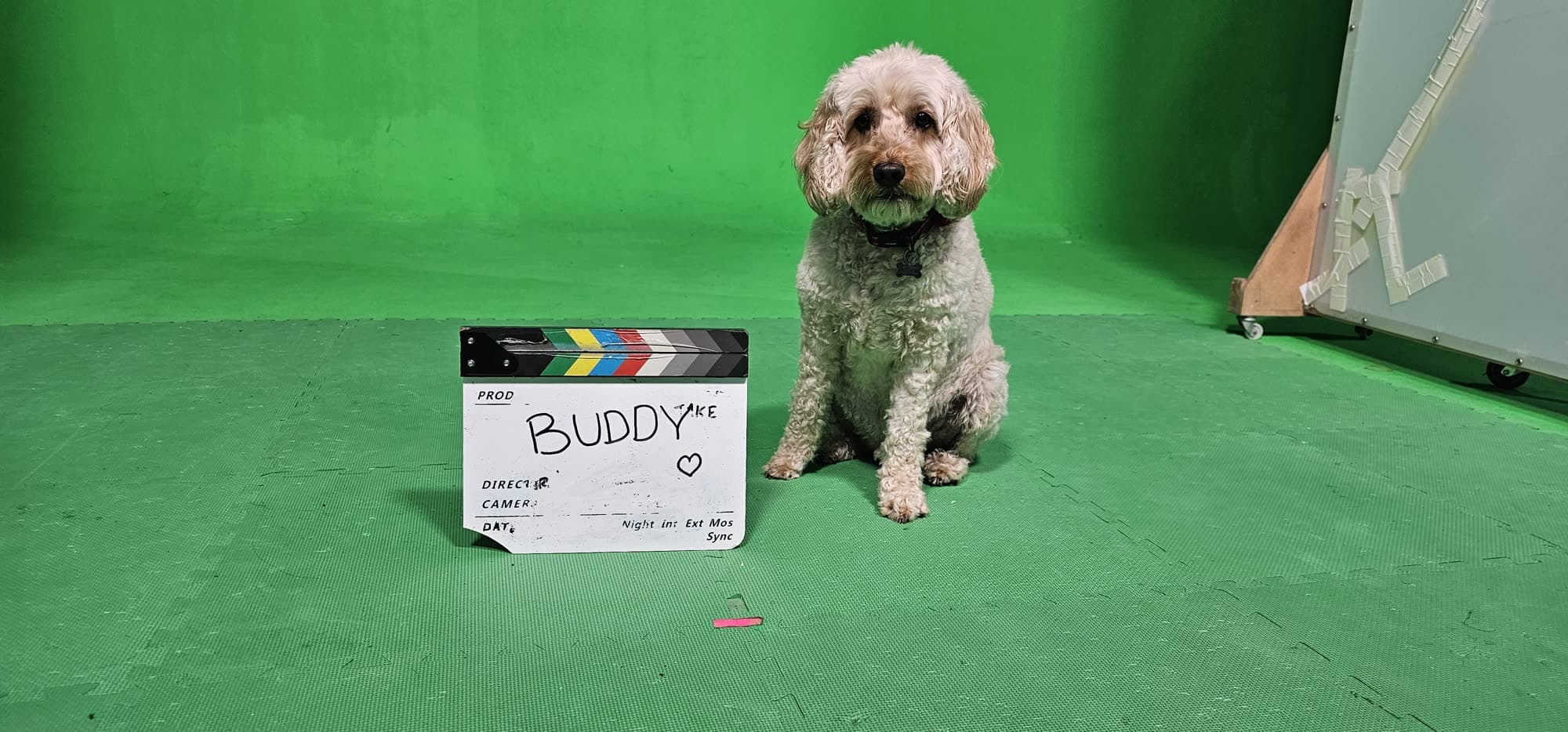 On set with a young cast member
